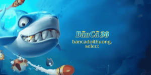 Code bắn cá vui