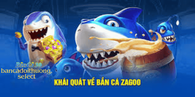 Khái quát sơ lược về bắn cá Zagoo