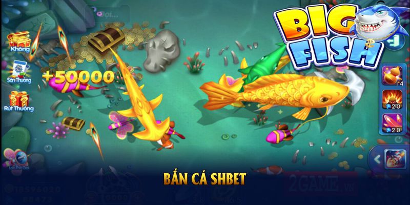 Bắn cá SHBET