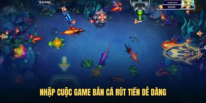 Nhập cuộc game bắn cá rút tiền dễ dàng
