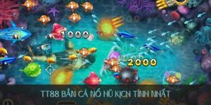 TT8 bắn cá nổ hủ