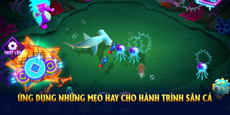 Ứng dụng những mẹo hay cho hành trình săn cá 